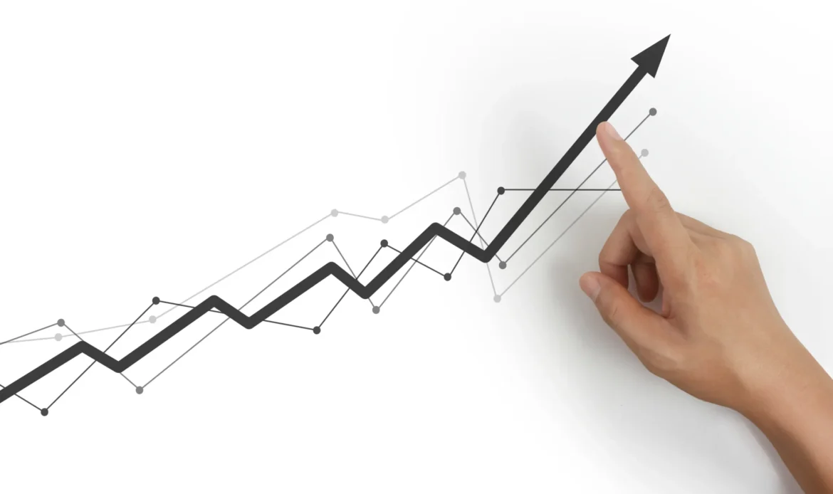 case study e-sklepu z AGD