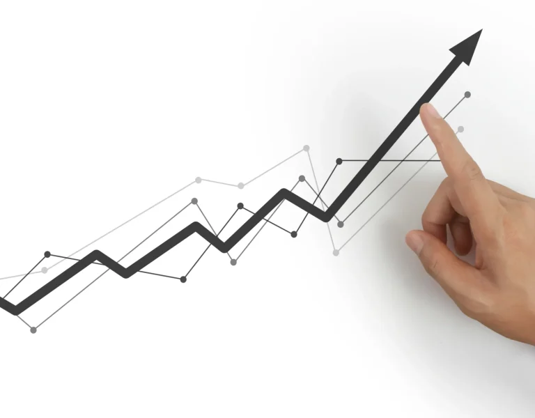 case study e-sklepu z AGD